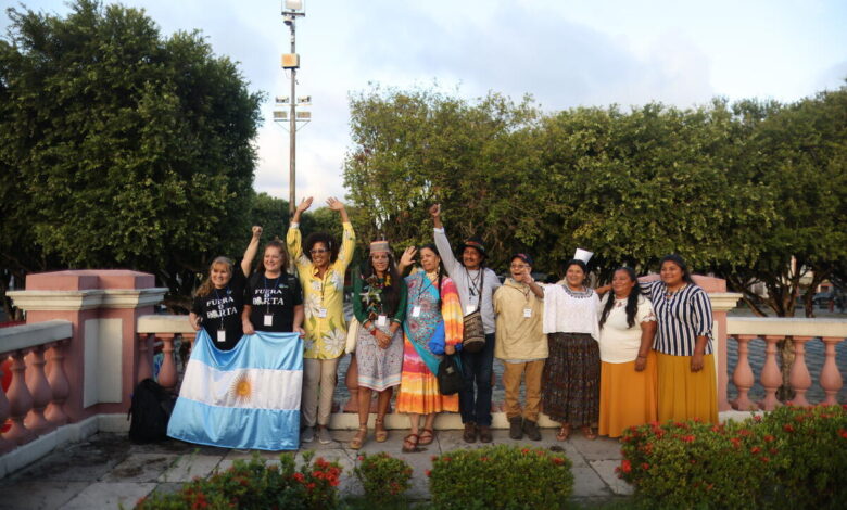 Inside a climate justice case at the Inter-American Court of Human Rights 