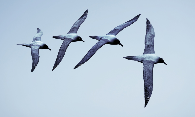 The boss factor | McKinsey The boss factor | McKinsey