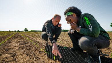 MSU launches most ambitious comprehensive fundraising campaign to date | MSUToday