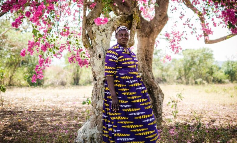 Everywhere basic income has been tried, in one map: Kenya; Iran; Alaska; Stockton, California; and more Everywhere basic income has been tried, in one map: Kenya; Iran; Alaska; Stockton, California; and more