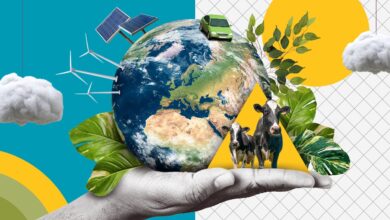 Eight simple things you can do for the environment