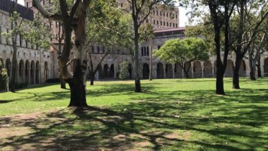 Human rights in action: the role of social workers in detention