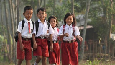 What you need to know