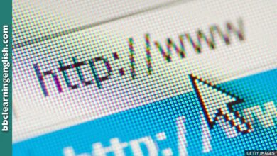 BBC Learning English – 6 Minute English / Is the internet good or bad?