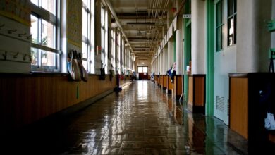 State school pupils just as happy with their lives as private school counterparts, national study finds