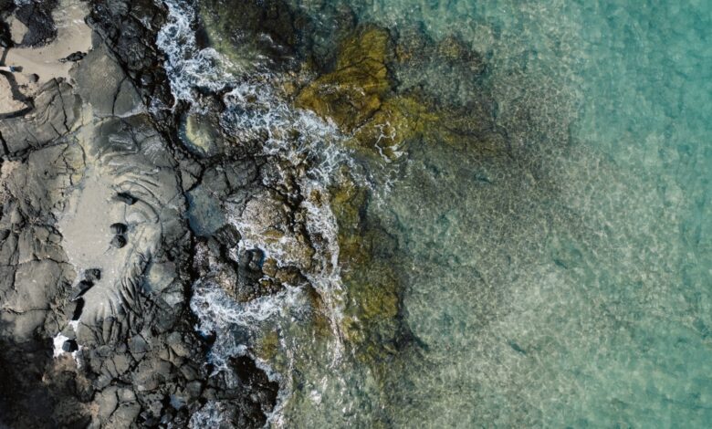 Hilton Launches New Six‑Part Eco‑Travel Docuseries Hilton Launches New Six‑Part Eco‑Travel Docuseries