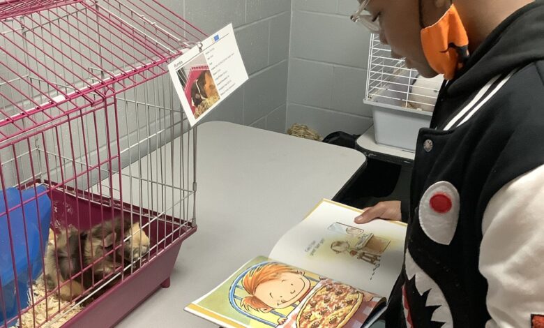 Michigan City Area Schools students make positive impact on “Better World Day”