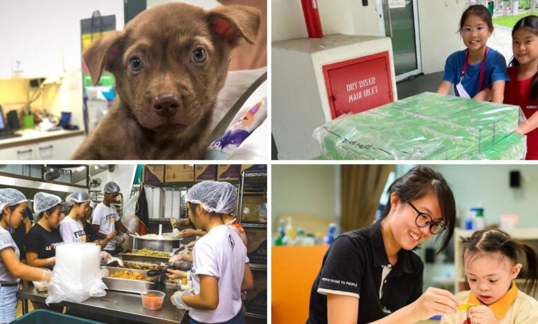 Charities, NGO & Welfare Groups in Singapore Charities, NGO & Welfare Groups in Singapore