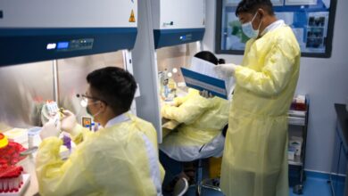 The power of storytelling for health impact