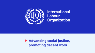 The human rights economy: Global Coalition partners highlight the role of the social and solidarity economy
