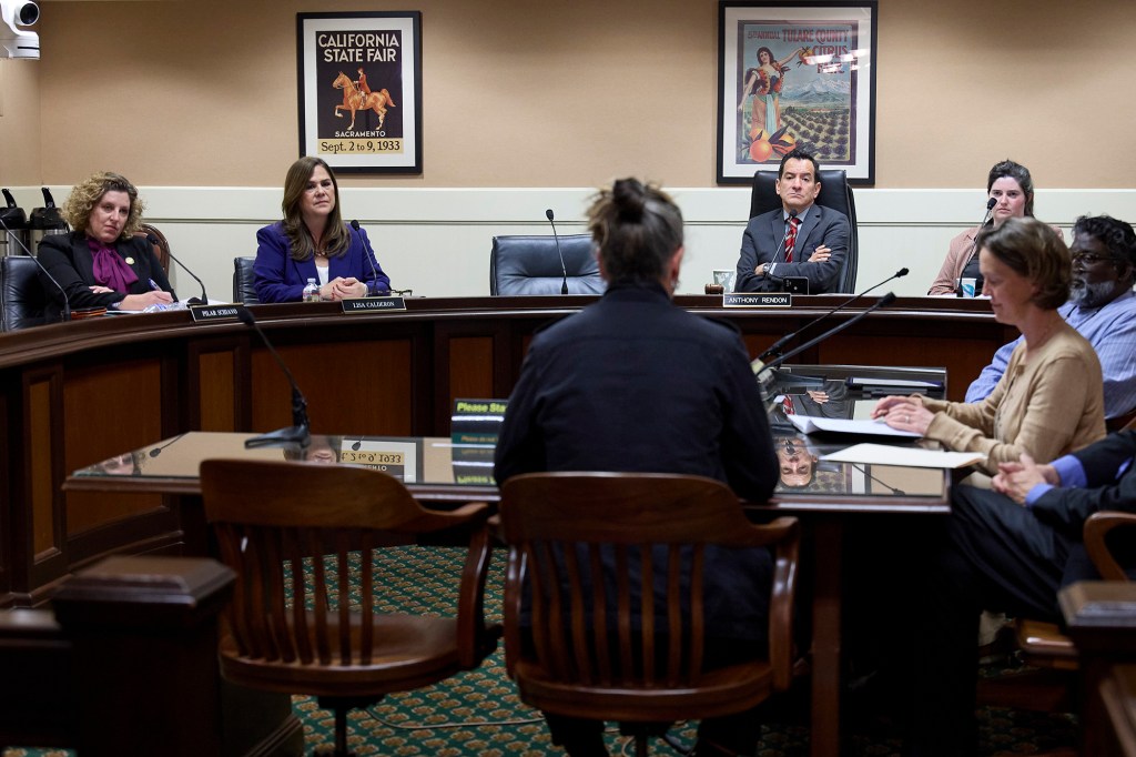 Members of the Select Committee On Happiness And Public Policy Outcomes listens to speakers during an informational hearing on at the California Capitol in Sacramento on March 12, 2024. Photo by Fred Greaves for CalMatters