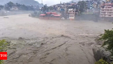 Mandi cloudburst: Family dead or missing; 10-month-old baby might be the lone survivor | India News