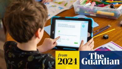 ‘Children are being failed’: why more English parents are home educating | Home schooling