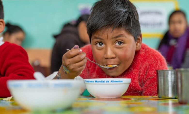 The Effects of Child Nutrition on Academic Performance: How School Meals Can Break the Cycle of Poverty The Effects of Child Nutrition on Academic Performance: How School Meals Can Break the Cycle of Poverty