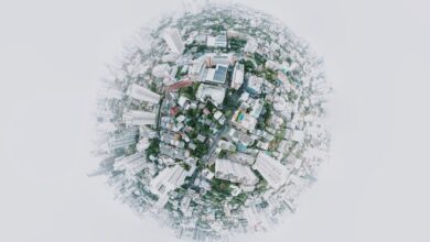 Building a better world | Alumni