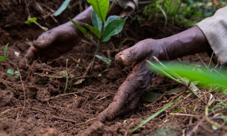 Food, Climate & Regenerative Farming FAQ Food, Climate & Regenerative Farming FAQ