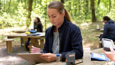 Examples of Environmental Sustainability | SNHU