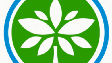 The Best Practices of NGOs That Consistently Secure Major Donors