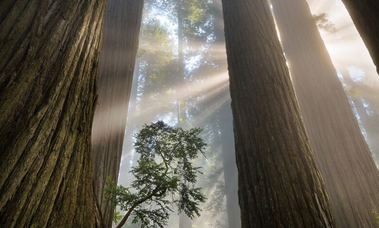 A World Where People & Nature Thrive