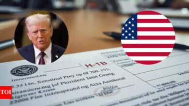 Donald Trump’s H-1B visa fee hike: Why global tech startups outside US are ‘happy’ with new rules