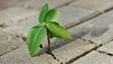 10 Unbelievable Stories of Survival Against All Odds
