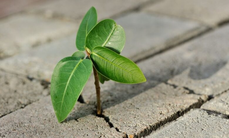 10 Unbelievable Stories of Survival Against All Odds